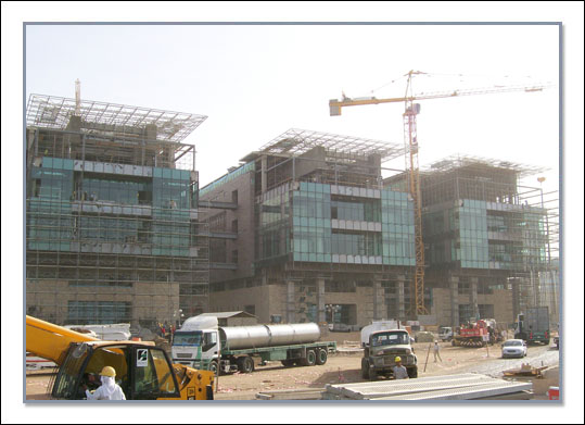 kaust
